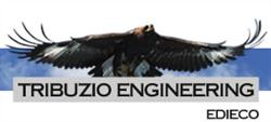 Tribuzio Engineering Services
